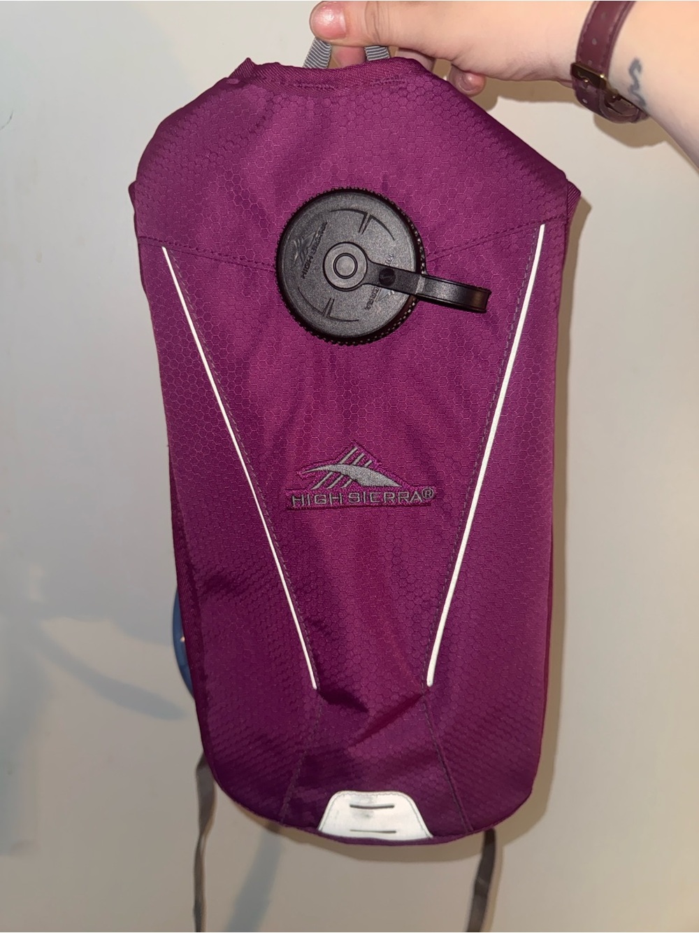 High Sierra Water Backpack